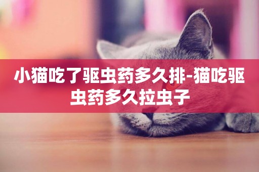 小猫吃了驱虫药多久排-猫吃驱虫药多久拉虫子